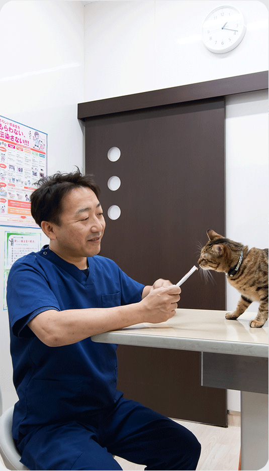 浜松家畜病院　猫に優しい診療