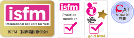 浜松家畜病院　ISFM(国際猫医療学会)資格取得