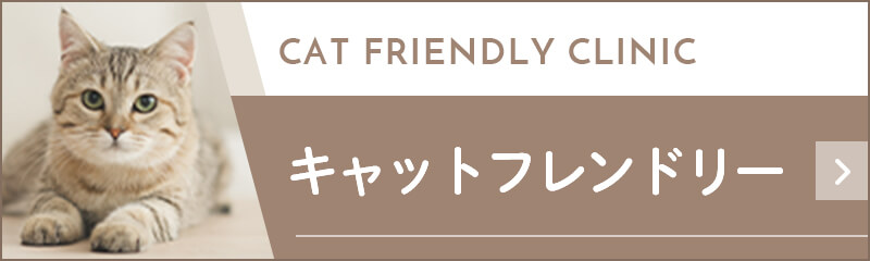 キャットフレンドリー