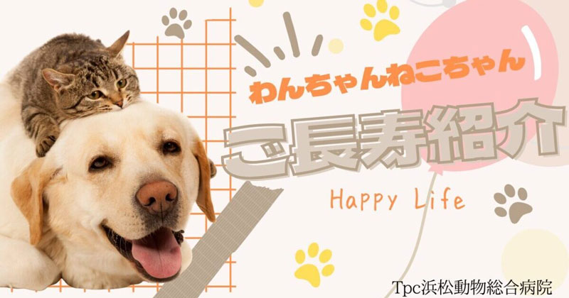 ご長寿