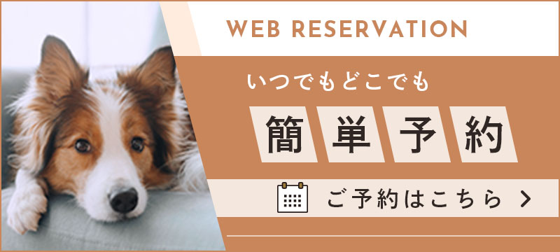 WEB予約