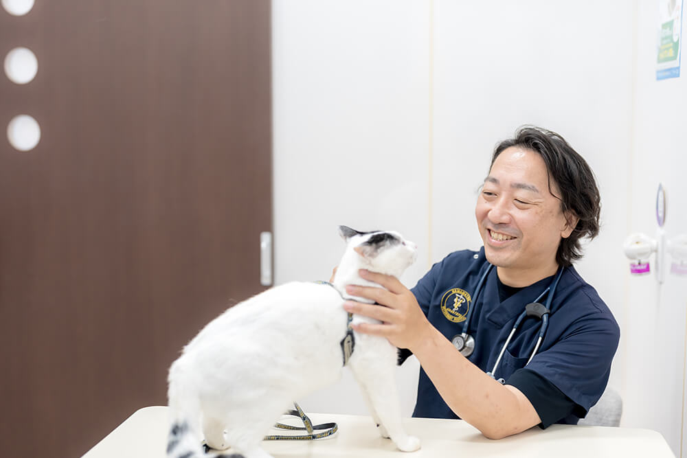 ねこ専用診察室をご用意しております