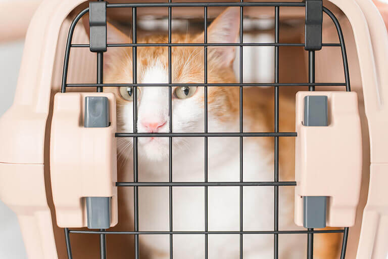診察室へのご案内