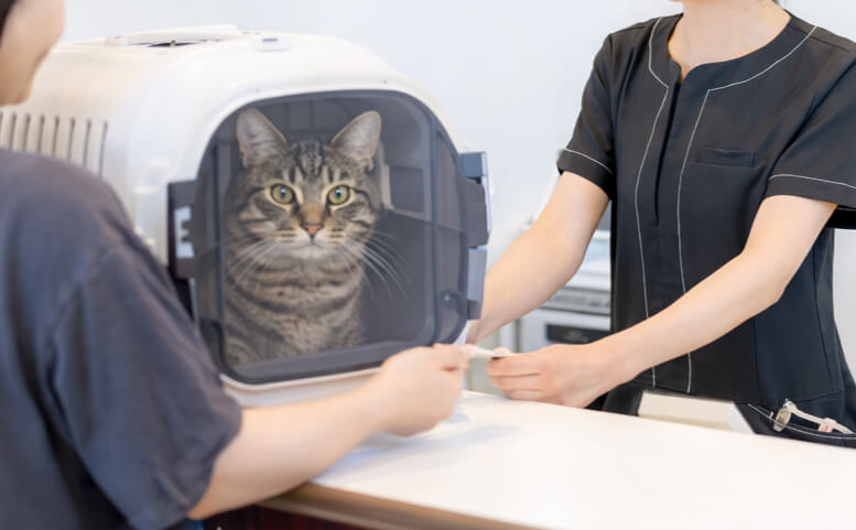 お会計・次回予約