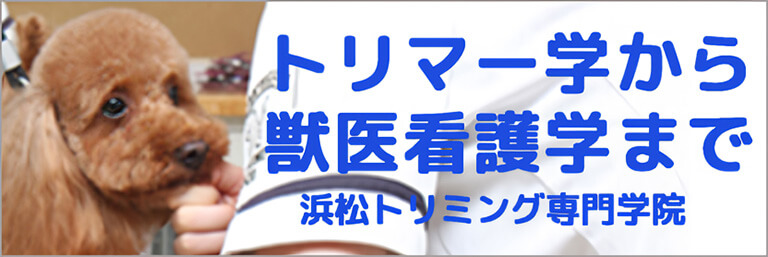 浜松トリミング専門学院