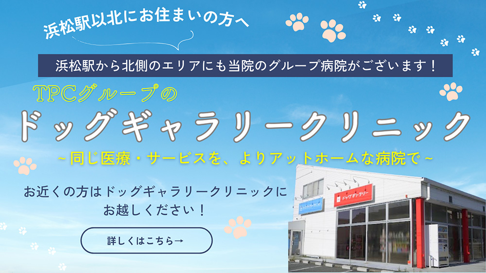 ドッグギャラリークリニックについて