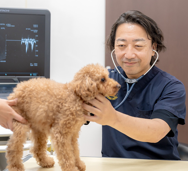 診察の様子の写真