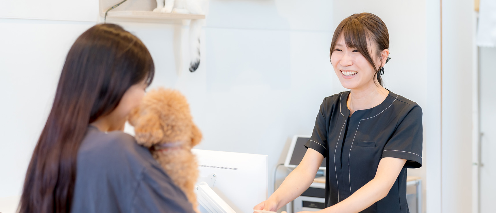 TPC浜松動物総合病院の猫の写真