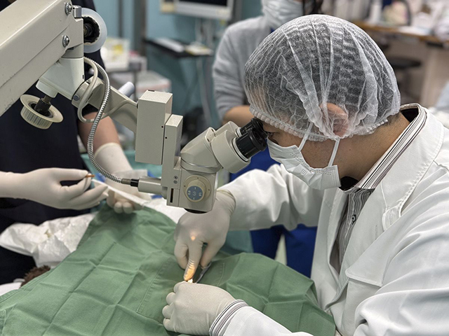 当院の眼科治療を監修する専門アドバイザー